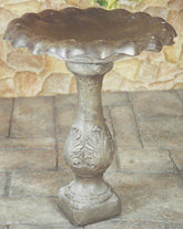 Photo of Birdbath - Marquis Gardens